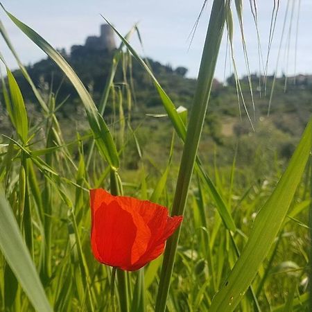 La Casina Di Nonna Giulia Leilighet Castiglione dʼOrcia Eksteriør bilde