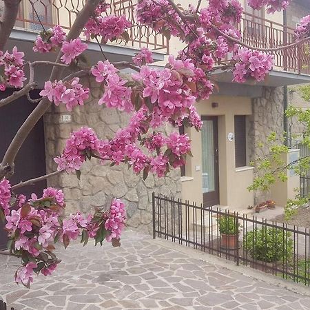 La Casina Di Nonna Giulia Leilighet Castiglione dʼOrcia Eksteriør bilde