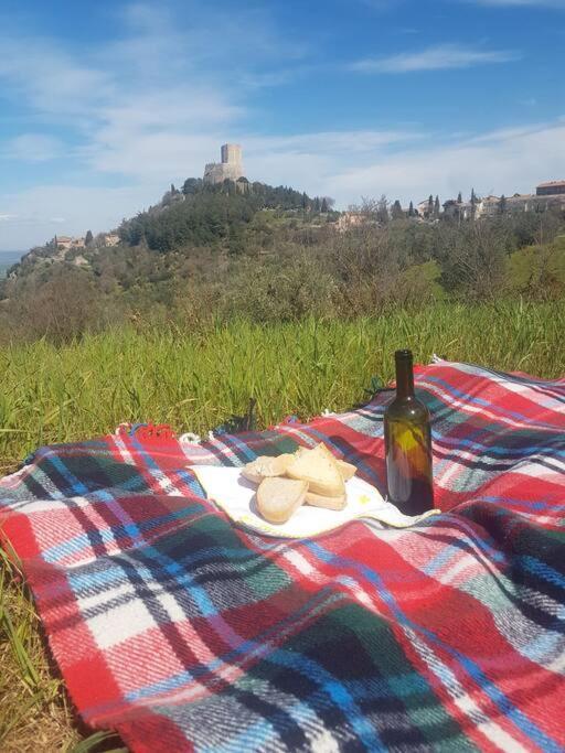 La Casina Di Nonna Giulia Leilighet Castiglione dʼOrcia Eksteriør bilde