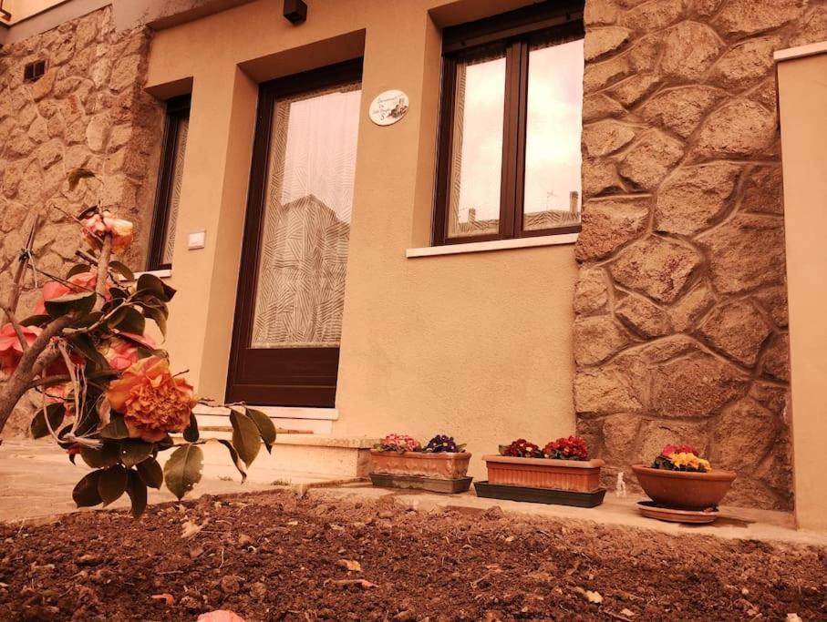 La Casina Di Nonna Giulia Leilighet Castiglione dʼOrcia Eksteriør bilde