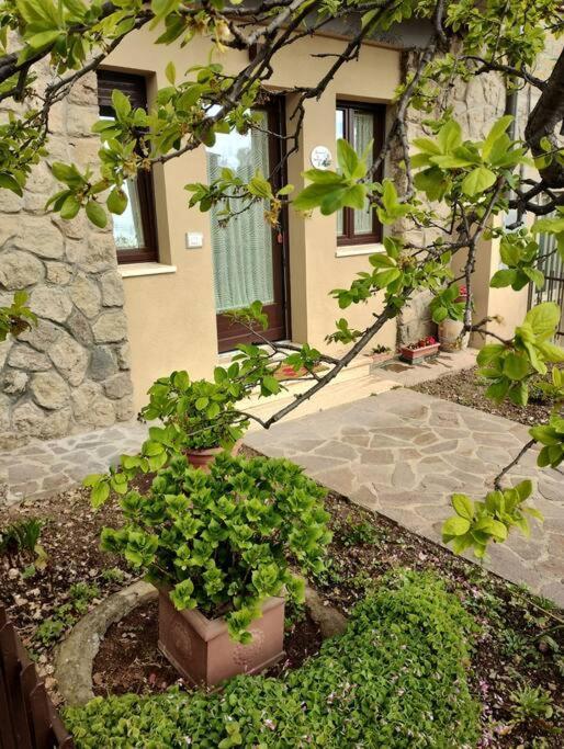 La Casina Di Nonna Giulia Leilighet Castiglione dʼOrcia Eksteriør bilde