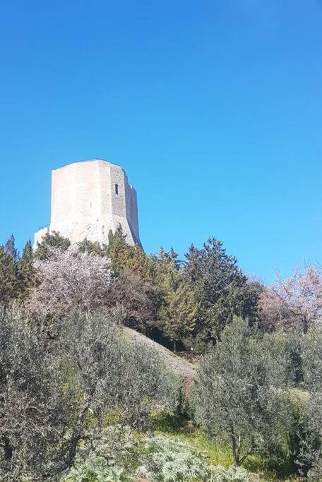 La Casina Di Nonna Giulia Leilighet Castiglione dʼOrcia Eksteriør bilde