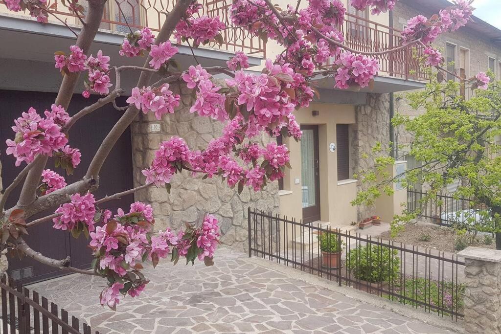 La Casina Di Nonna Giulia Leilighet Castiglione dʼOrcia Eksteriør bilde